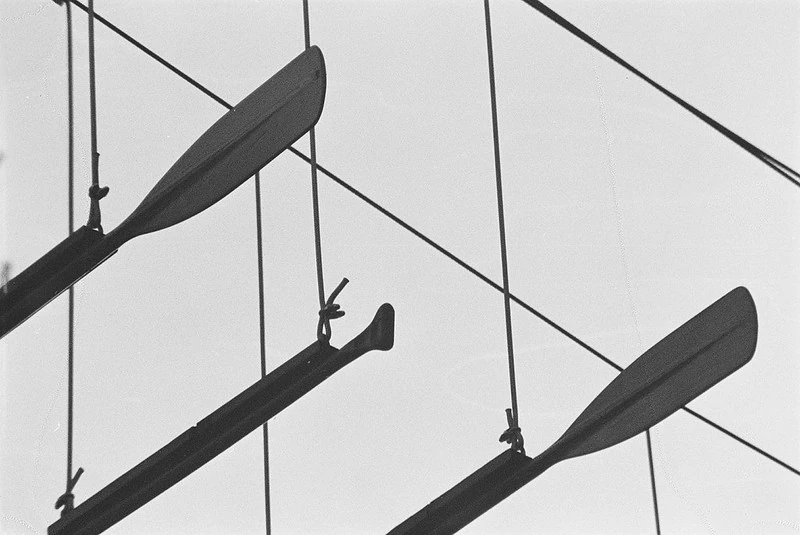 Schwarz-Weiß-Fotografie von drei Ruderblättern, die an Drähten oder Seilen aufgehängt sind. Die Blätter sind parallel zueinander ausgerichtet und werfen Schatten, was eine grafische, abstrakte Wirkung erzeugt.