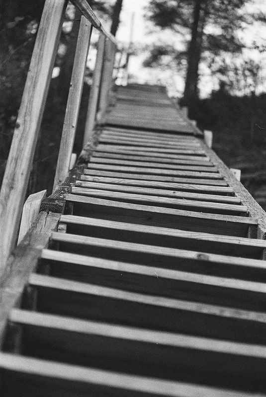 Schwarz-Weiß-Fotografie einer hölzernen Treppe im Freien: Die Treppe führt steil nach oben, flankiert von einem einfachen Geländer aus Holz. Im Hintergrund sind Bäume zu erkennen.